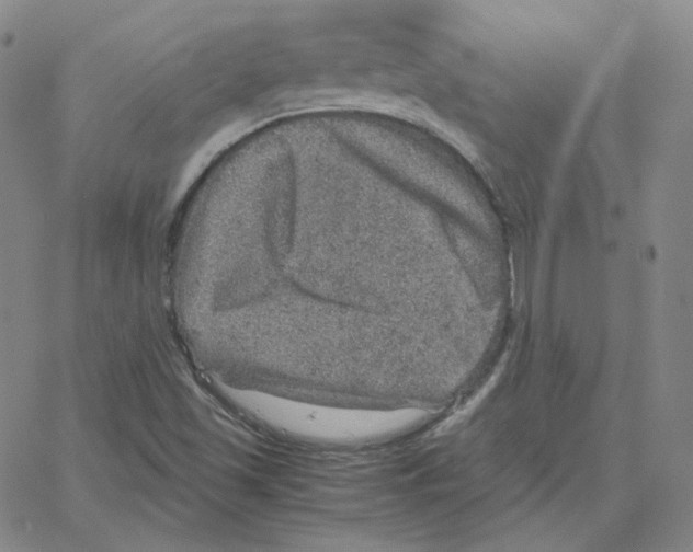 X0000064771501200603131420