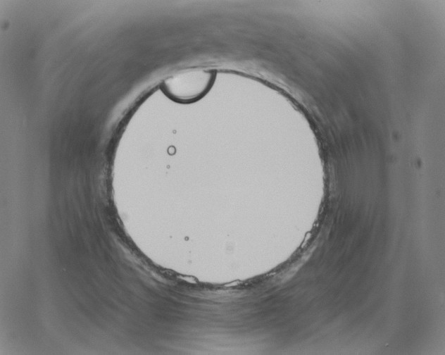 X0000064771502200603131420