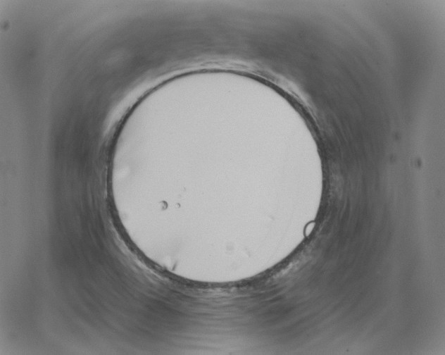 X0000064771504200603131421