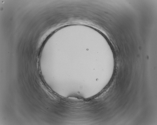 X0000064771507200603131421