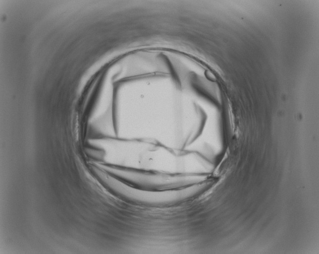 X0000064771510200603131421