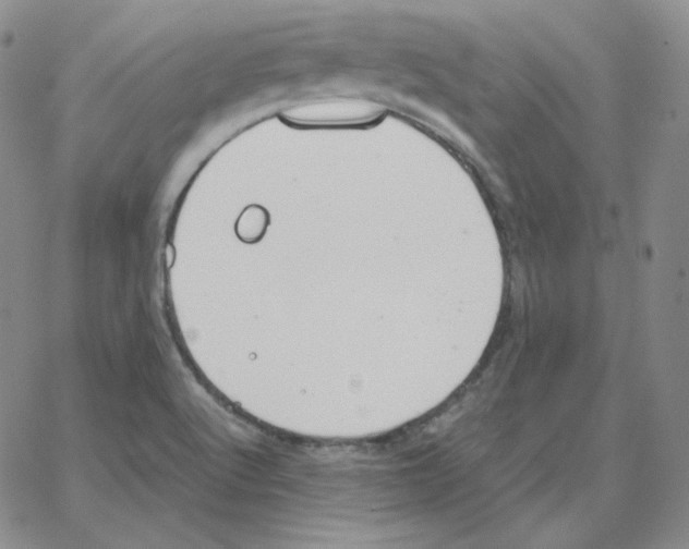 X0000064771512200603131421