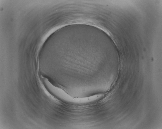 X0000064771515200603131421