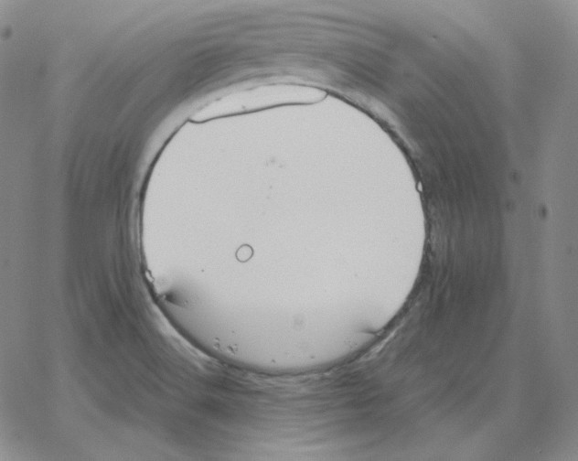 X0000064771516200603131421