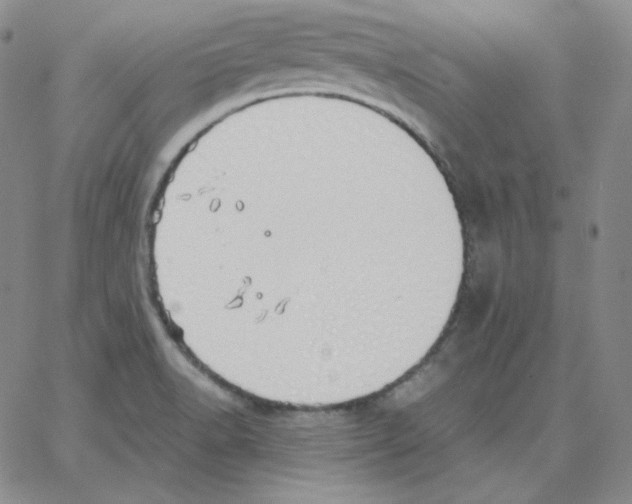 X0000064771518200603131421