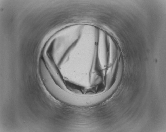 X0000064771520200603131421