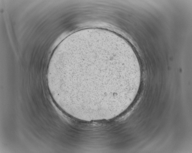 X0000064771521200603131421