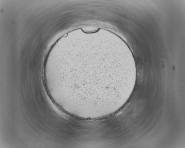 X0000064771523200603131421