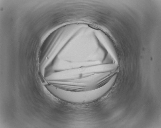 X0000064771524200603131421