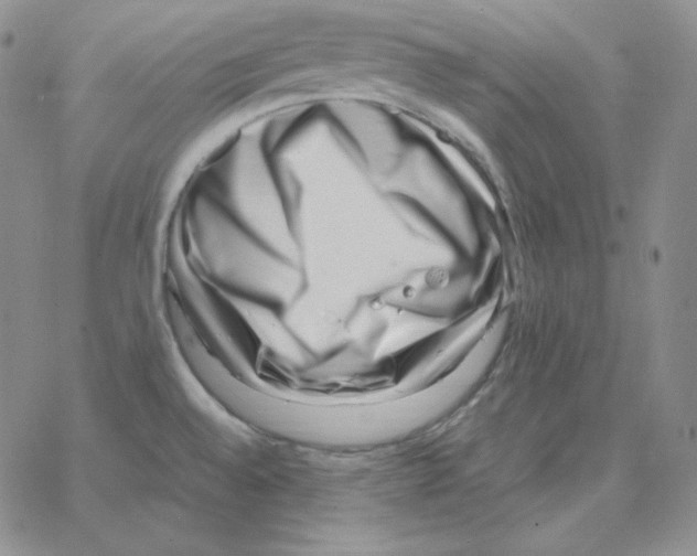 X0000064771528200603131421