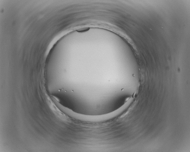 X0000064771530200603131421