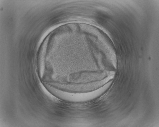 X0000064771531200603131421