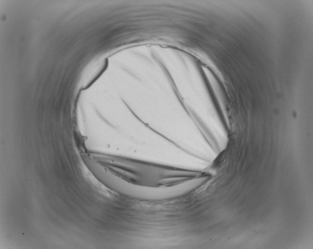 X0000064771532200603131421