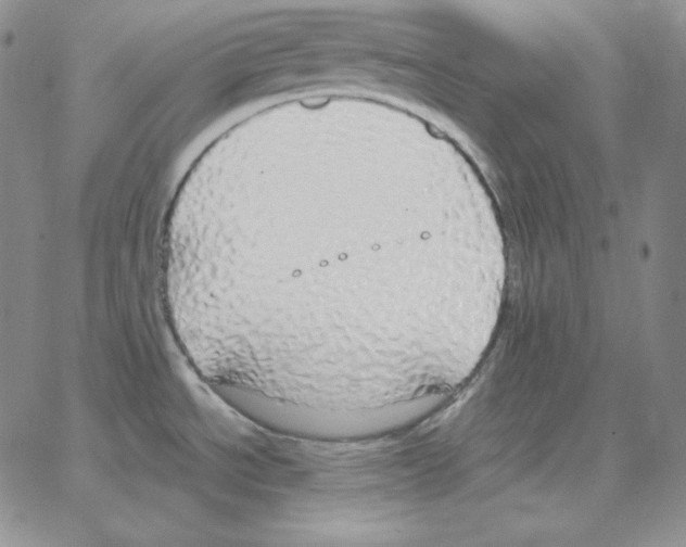 X0000064771534200603131421