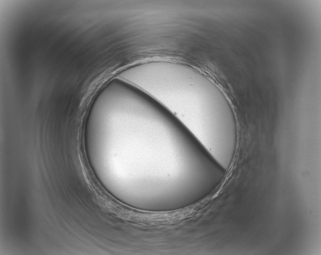 X0000065230001200602170940