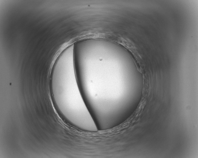 X0000065230003200602170940