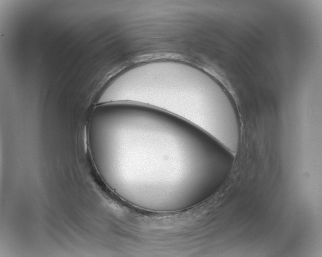 X0000065230013200602170940