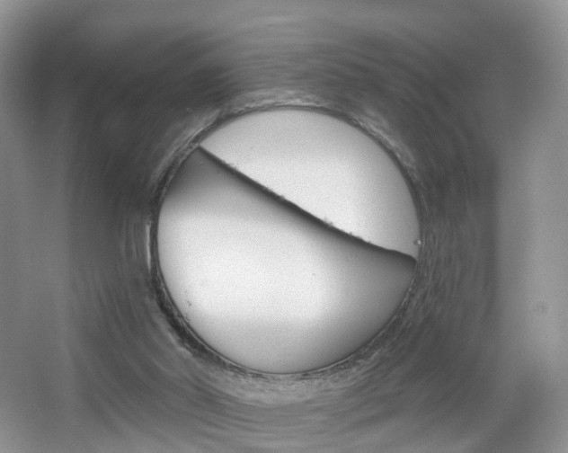 X0000065230014200602170940