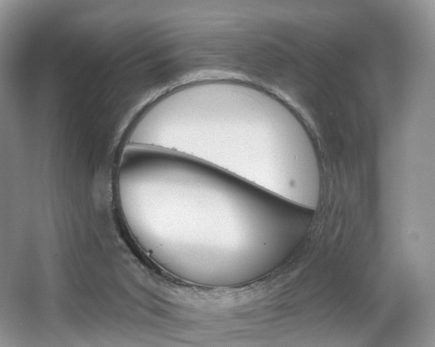 X0000065230015200602170940