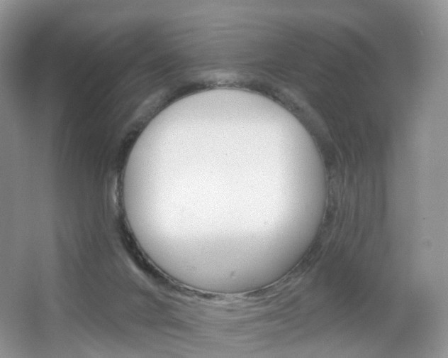 X0000065230024200602170940