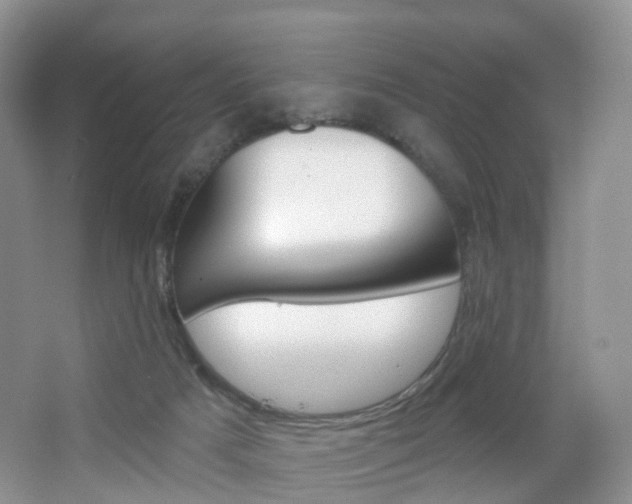 X0000065230025200602170940