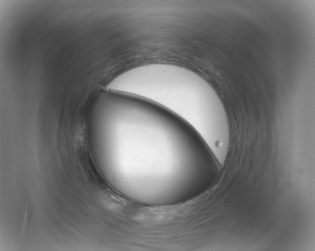 X0000065230033200602170940