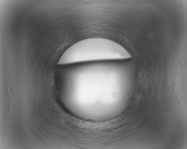 X0000065230043200602170939
