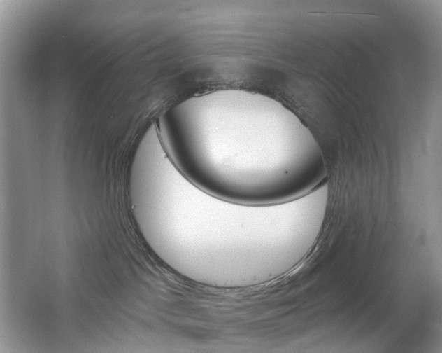X0000065230045200602170939