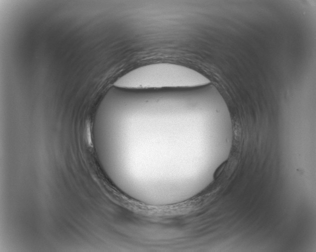 X0000065230046200602170939