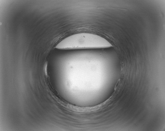 X0000065230047200602170939