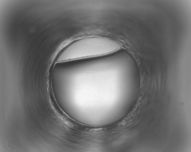 X0000065230054200602170939
