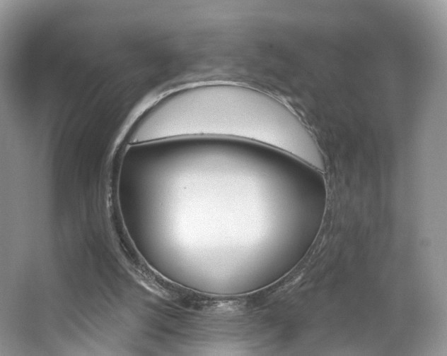 X0000065230056200602170939