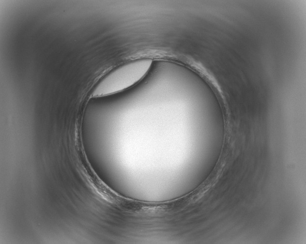 X0000065230057200602170939