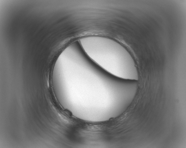 X0000065230062200602170939