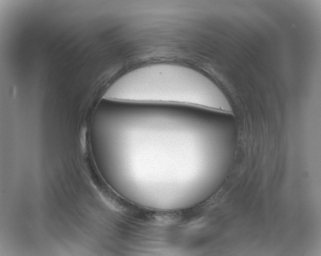 X0000065230070200602170939