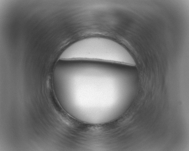 X0000065230071200602170939