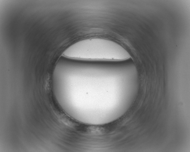 X0000065230073200602170939