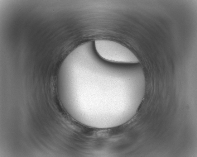 X0000065230078200602170939