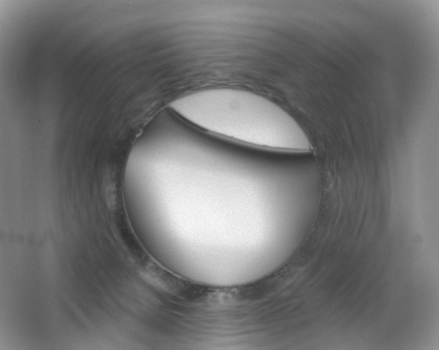 X0000065230080200602170939