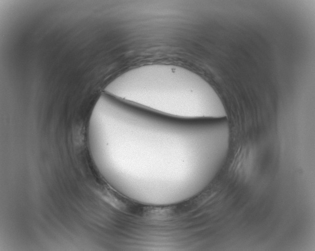 X0000065230081200602170939