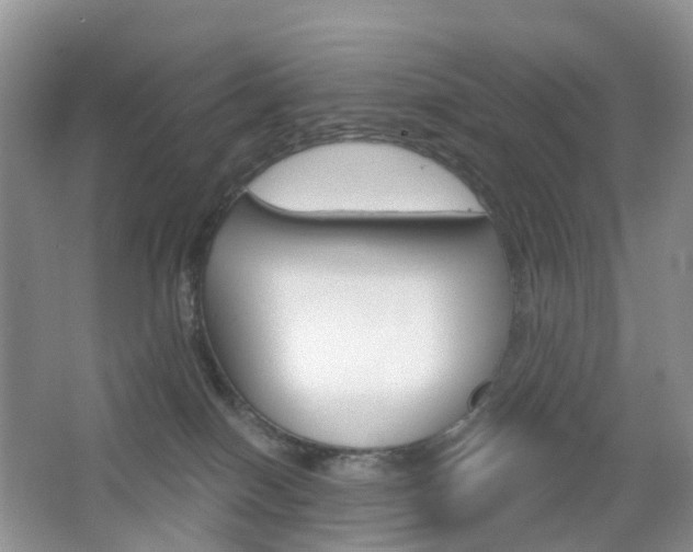 X0000065230086200602170939