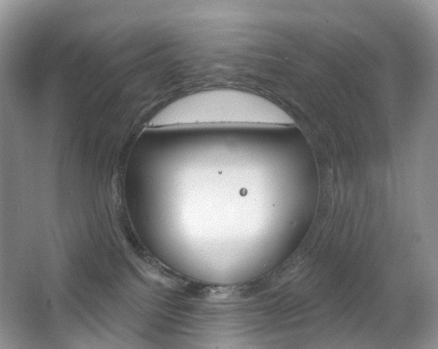 X0000065230088200602170939