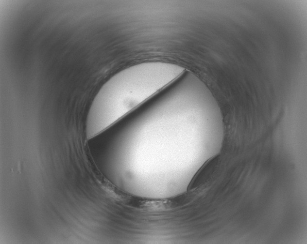 X0000065230089200602170939
