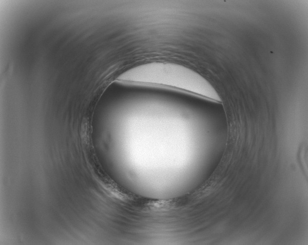 X0000065230092200602170939