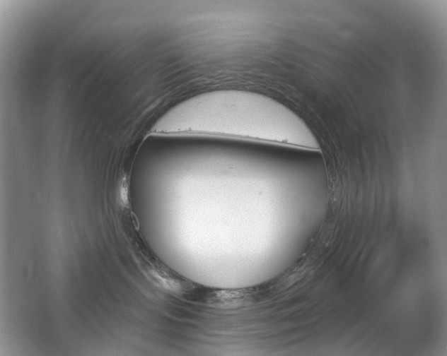 X0000065230095200602170939