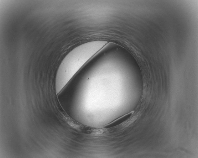 X0000065230096200602170939