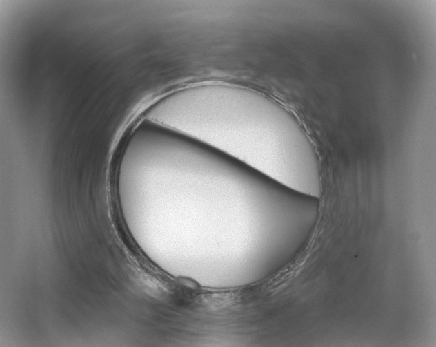 X0000065230102200602170938