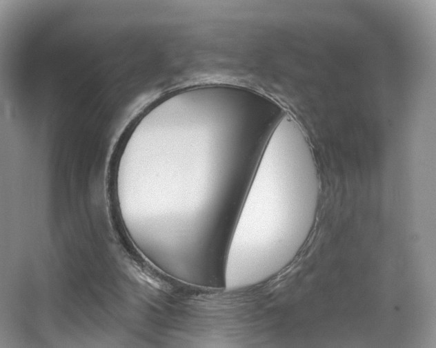 X0000065230104200602170938