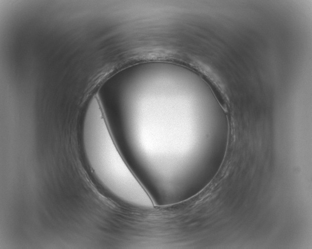 X0000065230105200602170938