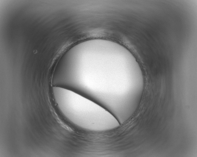X0000065230106200602170938
